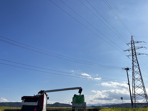 ひとめぼれ 10kg