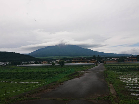 甘い★純白とうもろこし6本