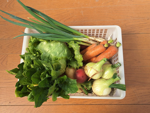 【農薬化学肥料不使用】旬の野菜セット(80サイズ5-6品