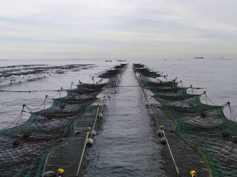 【冬ギフト】自然派プチギフト２箱【焼海苔:四切12枚】【ポストにお届け】自分で切らなくてOK！神奈川ブランド