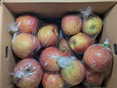 ふじリンゴ家庭用