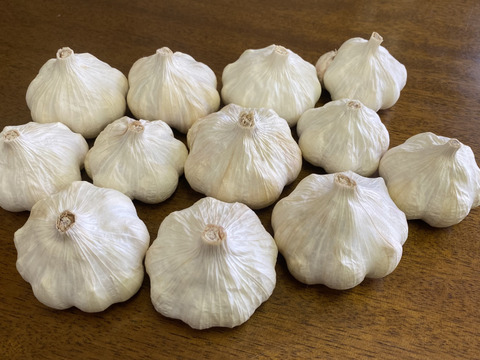 【500g入】マイルドな香味のニンニク「テラドー」