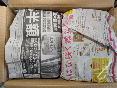 柿とリンゴの加工原料箱詰め