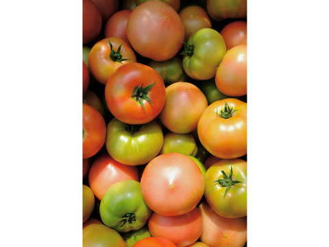 山の恵みがつくる大玉トマトLサイズ20玉セット(4kg前後)