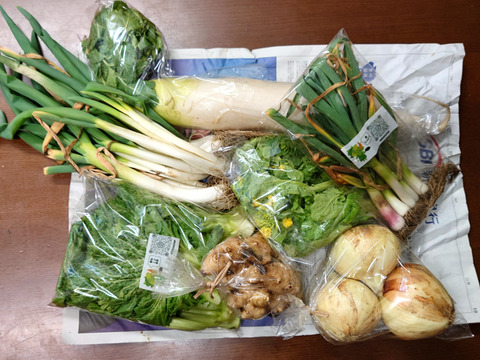 2〜4名様向け野菜セット／旬の野菜7種：千葉県産の野菜セット