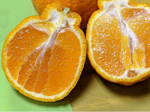 糖度が高すぎッ！ “味香デコ” ５kg