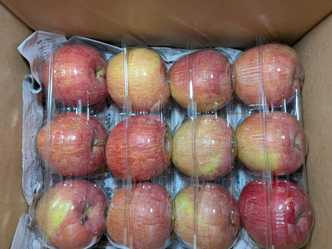 リンゴ、柿、ハクサイ、タマネギ、ネギ