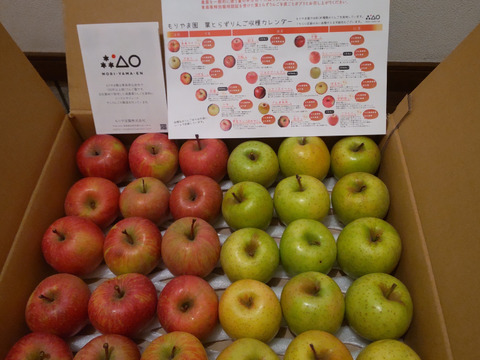 葉とらずりんご食べ比べ🍎🍏丸かじりにぴったりの小玉サイズ2種4kg 低農薬で皮ごと安心✨青森県特別栽培認証　訳ありご家庭用