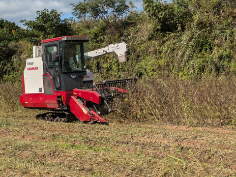 河野農園のオリーブオイルとえごま油の詰め合わせセット