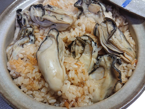 【石川県能登半島・七尾西湾】
今が旬！お料理に便利な、牡蛎むき身《500g》