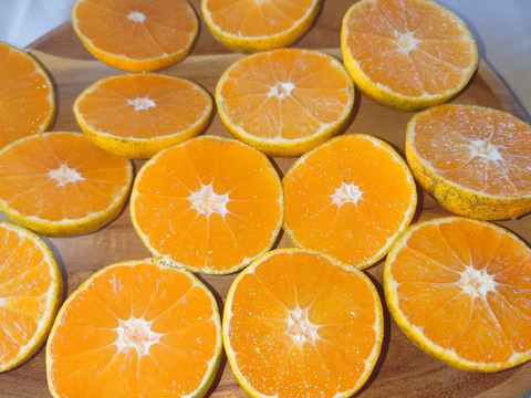 家庭用【自然栽培】クリスマスやお正月に最適　食べやすい甘さ 食べ出したら止まらない 早生みかん（10K）
