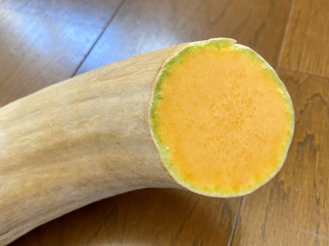 【自然栽培🎃固定種かぼちゃ3kg前後2〜3本】ポタージュでどうぞ🎶濃厚な甘さの鶴首かぼちゃ🎃