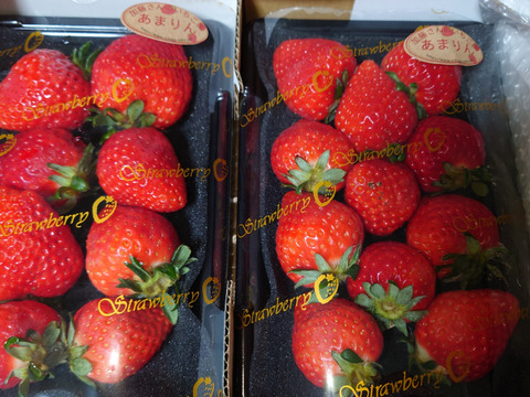 あまりん 7粒～15粒‼️