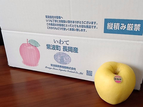 【岩手・紫波町】希少品種🍏特別栽培「はるか」5kg