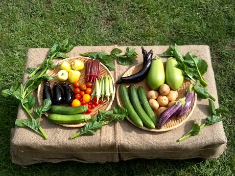 買い物時短セット
・自然栽培野菜Sセット7～9種類
・自然栽培米1kg（2021年産・白米）