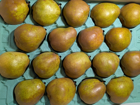 ラ・フランス家庭用