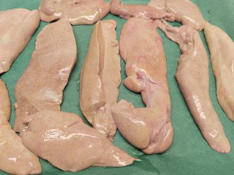 【北の珍味】カスベ肝/レバ刺/ルイベ/煮付け/どぶ汁/500ｇ【冷凍】【生食可】