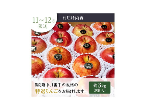 青森県産りんご　鮮度良し「自社イチオシ」完熟大玉プレミアム葉とらず蜜入りサンふじ自然味約３kg糖度１３度以上