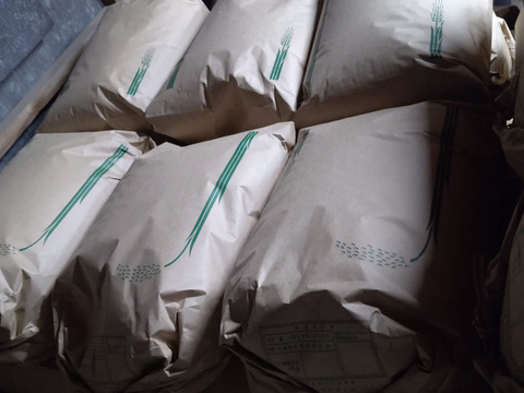 【令和６年道産一等米ゆめぴりか５kg】