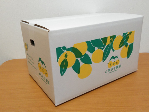 化学合成農薬栽培期間中不使用　土佐文旦　大玉！(5Lサイズ以上)　等級無選別　4kg入(4〜5個)　文旦の本場👑高知県土佐市産　家庭用　☆食べチョク限定☆　※北海道への配送はできません