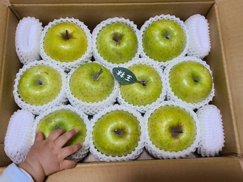 🍏芳醇な香り【王林】🍏１０～１２玉 約３キロ  （家庭用）商品ID118229