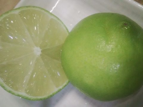 ライム　１．８ｋｇ