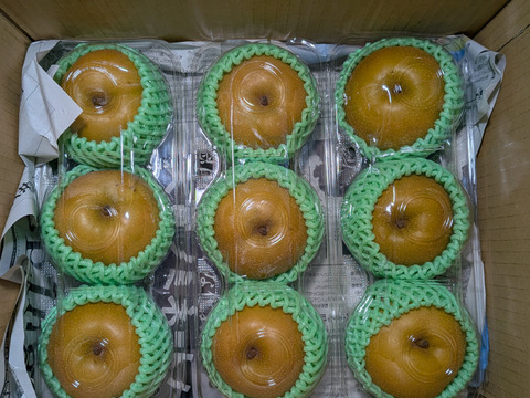 梨、李、シャインマスカット