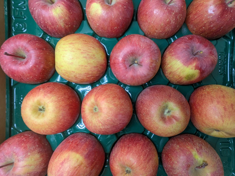 ふじリンゴ5kg箱詰め