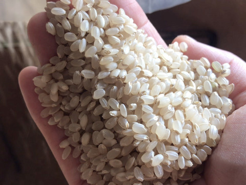 🌈カトリケの農園🌈コシヒカリの米粉1kg個包装✖️1