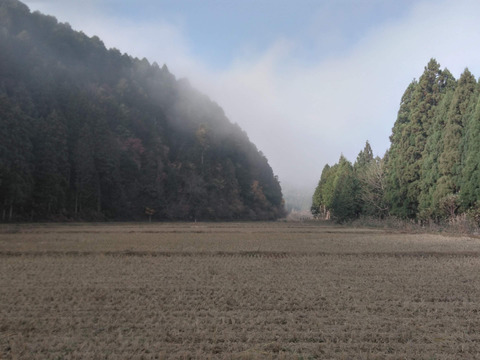 農薬不使用　米粉　2.7kg【900g✕3個】 ＋【玄米餅】約800g【20個前後】