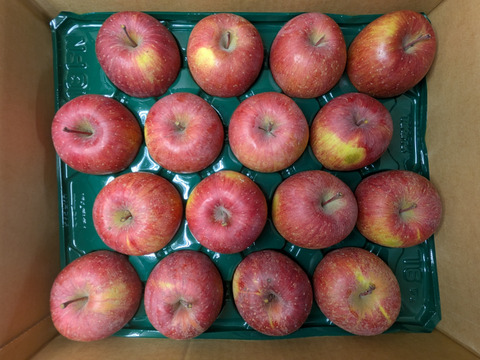 ふじリンゴ5kg箱詰め