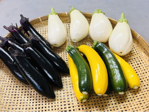 有機の野菜(ズッキーニ・白ナス・筑陽ナス各1kg)の3kgセット✨【周防 