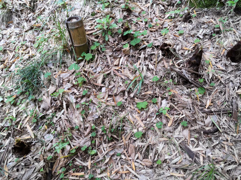 タケノコ水煮(２㎏前後)【あく抜きの米糠・唐辛子も農薬・化学肥料不使用】【大釜で茹でて作りました】【熨斗(のし)対応可】