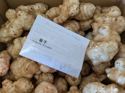 〈売り切れ御免なさい／スーパーフード／自然栽培〉淡路島産 シャキっとホクっとパリっと 皮ごと安心♪菊芋２kg【2022年度SDGｓエバンジェリスト認定取得】