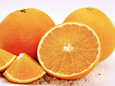 【贅沢食べ比べセット】暁みかん×まどんな【ゲン担ぎ福袋】