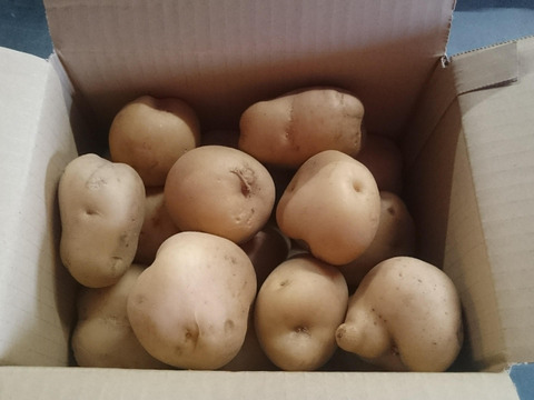男爵(ミニサイズ)4.5kg 農薬化学肥料不使用
