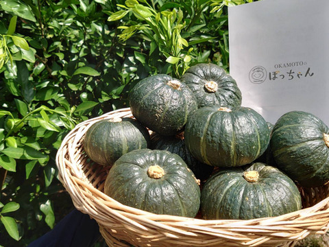 レンジで温めるだけ！ホクホクして甘い坊っちゃんかぼちゃ(3.5㎏~4㎏)