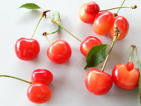 国内最安値！ 紅秀峰】家庭用グラデーションセット 🍒1キロ🍒【双子ちゃんが 果物