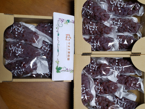 葉っぱさん注文3箱『山形高畠産デラウェア』（6房〜8房）