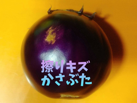 【訳あり】BBQにも！イタリア紫丸ナス『ビステッカ』3個