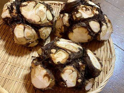 【自然栽培🍀八つ頭（２kg前後）】ホクホク旨い！コロッケやサラダもオススメ