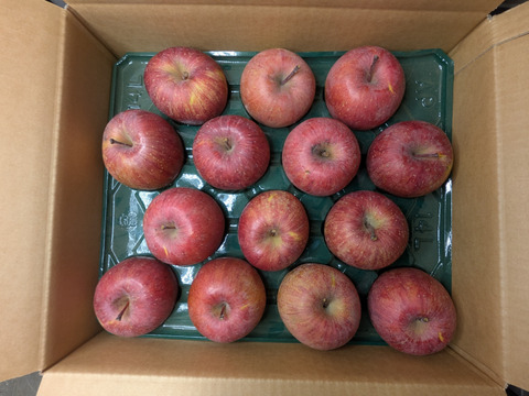 ふじリンゴ5kg箱詰め