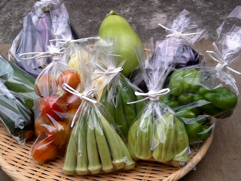 旬の自然栽培野菜詰め合わせ(Mセット)