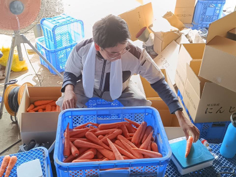 埼玉生まれ鶏ふん育ち！！緻密で甘みが強い極上の五寸にんじん【向陽２号！！】10kg！！