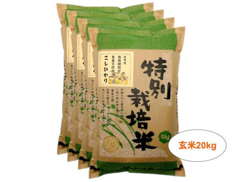 【玄米20kg】信州産 農薬不使用米 こしひかり (5kg×4袋) 令和2年産