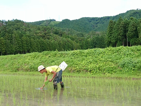 200ｇ×2　自然栽培　古代米　黒米＆3種ミックスセット