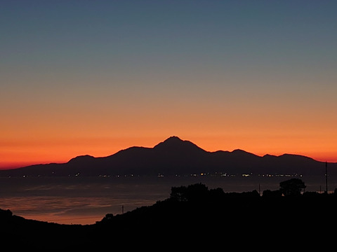 家庭用【自然栽培】クリスマスやお正月に最適　食べやすい甘さ 食べ出したら止まらない 早生みかん（10K）