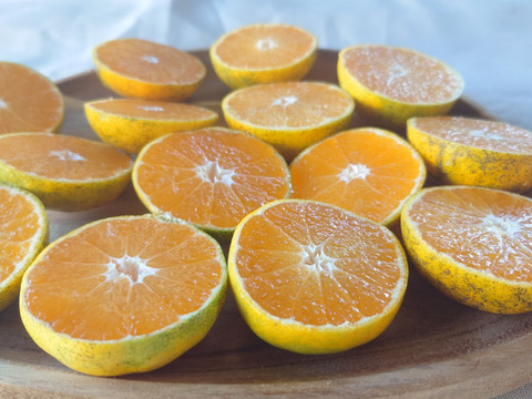 【自然栽培】 クリスマスやお正月に最適　食べ出したら止まらない 美味しい 早生みかん（3K）