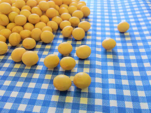 自然栽培 黄大豆 1kg