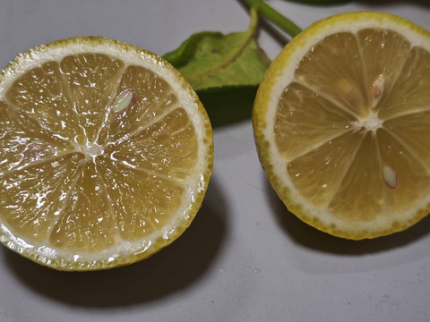 レモン★家庭用4.3K